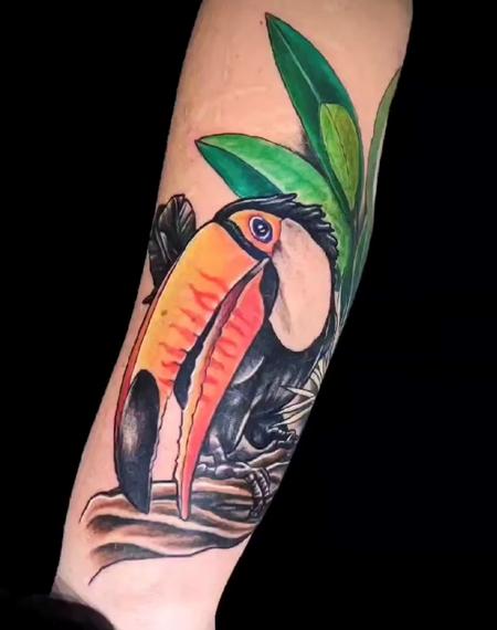 tattoos/ - Marcus Judd Toucan - 144829